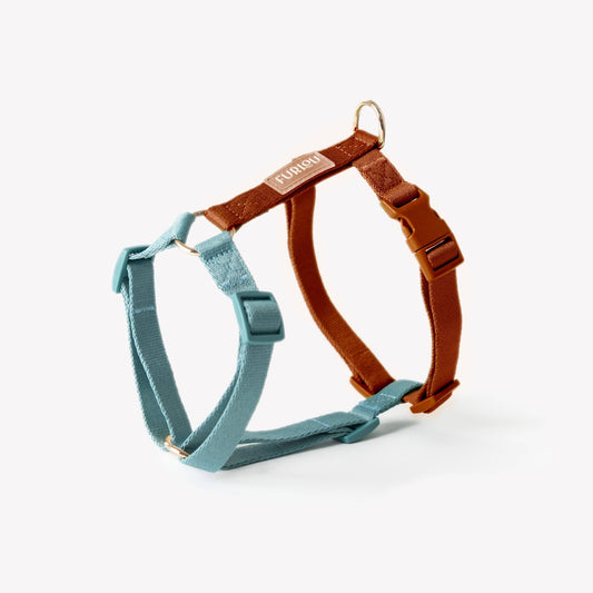 harnais Strap- Blue et clay