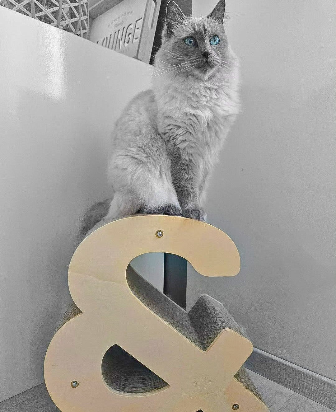 Griffoir chat Symbole esperluette