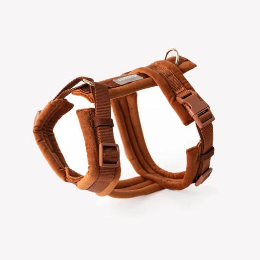 Harnais Furlou VELVET CLAY