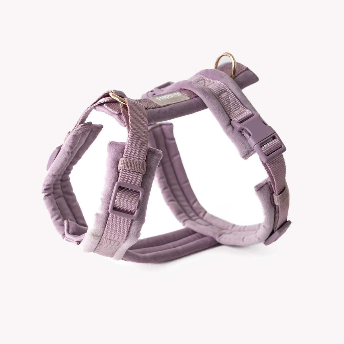 Harnais Furlou VELVET LILA