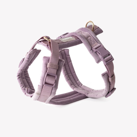 Harnais Furlou VELVET LILA