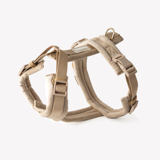 Harnais Furlou VELVET SAND