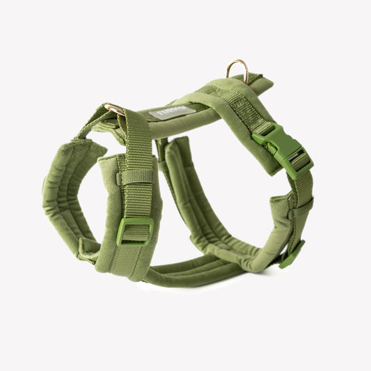 Harnais Furlou VELVET VERT