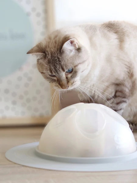 Cat Igloo - Jouet interactif pour Chat
