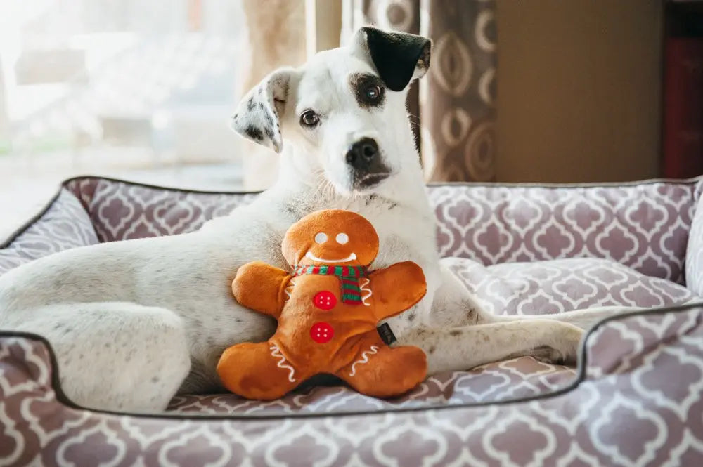 Peluche Pain d’épice de Noël pour chien