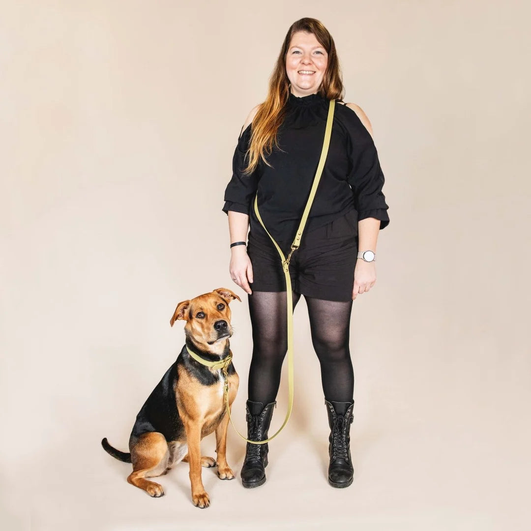 Laisse multi-positions pour chien vert tilleul