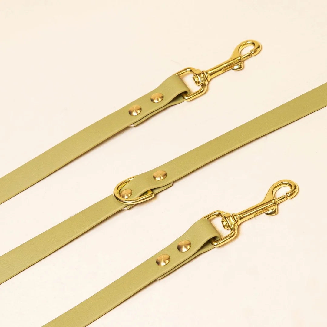 Laisse multi-positions pour chien vert tilleul