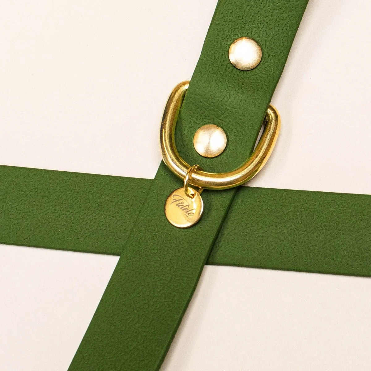 Laisse multi positions-VERT OLIVE