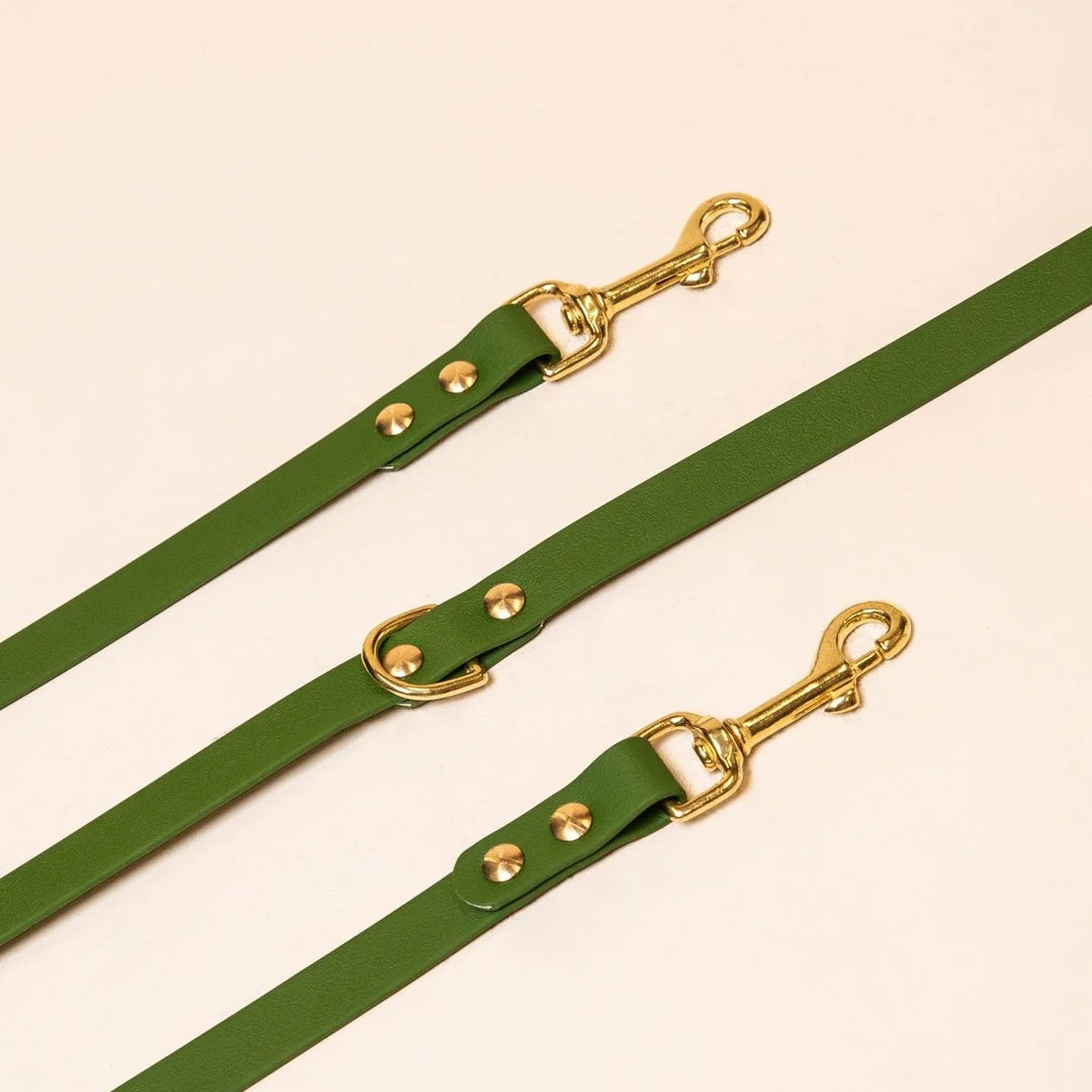 Laisse multi positions-VERT OLIVE
