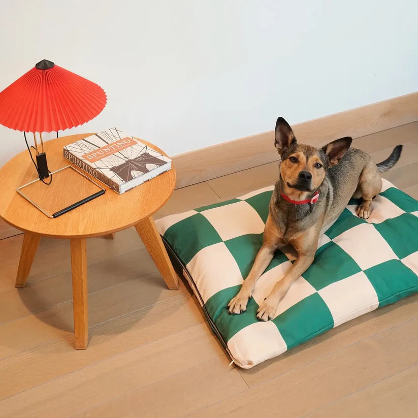 Lit coussin- Le Fritz- Carreau vert
