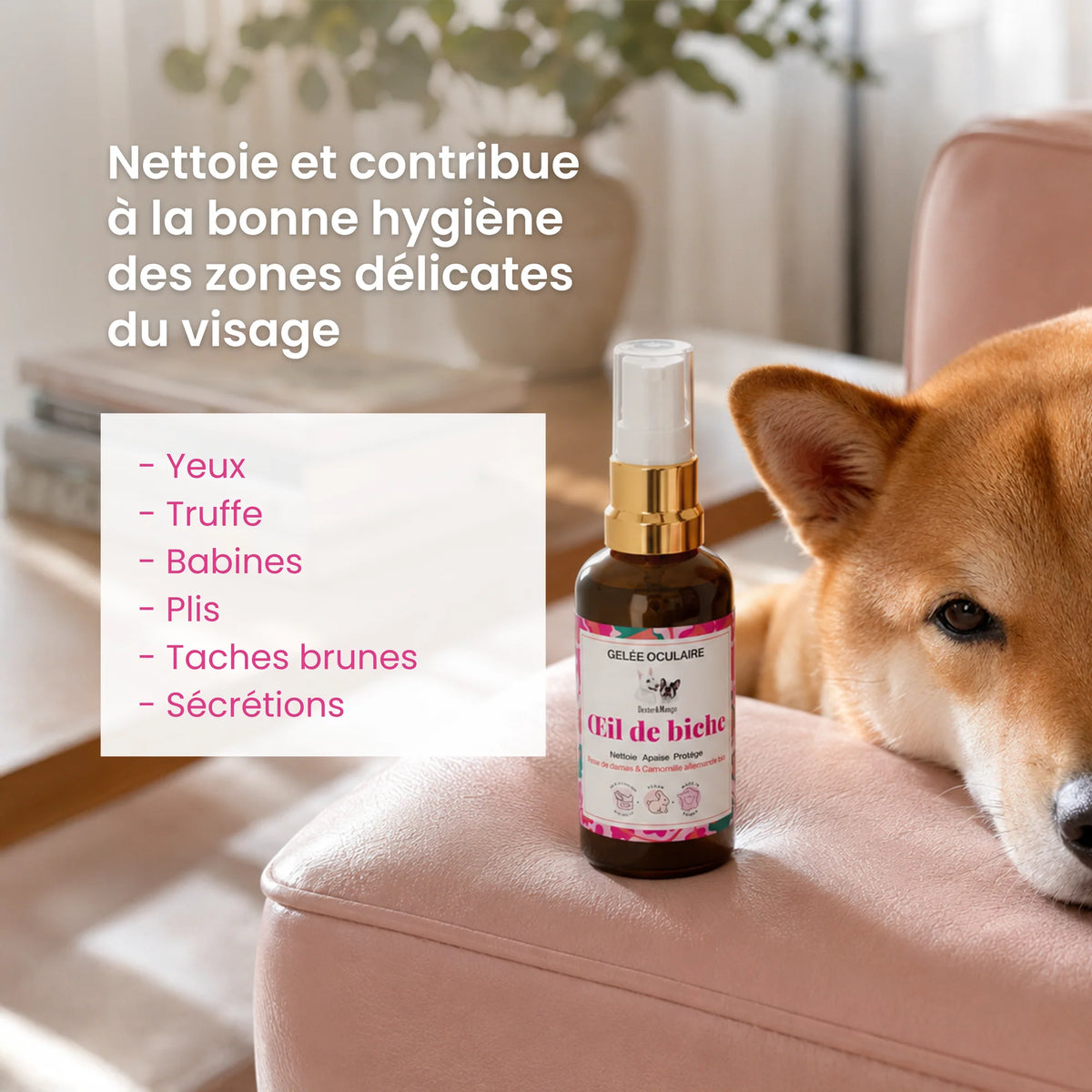Œil de biche : Gelée oculaire pour chien