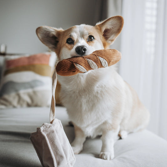 Mini baguette- Jeu d'occupation