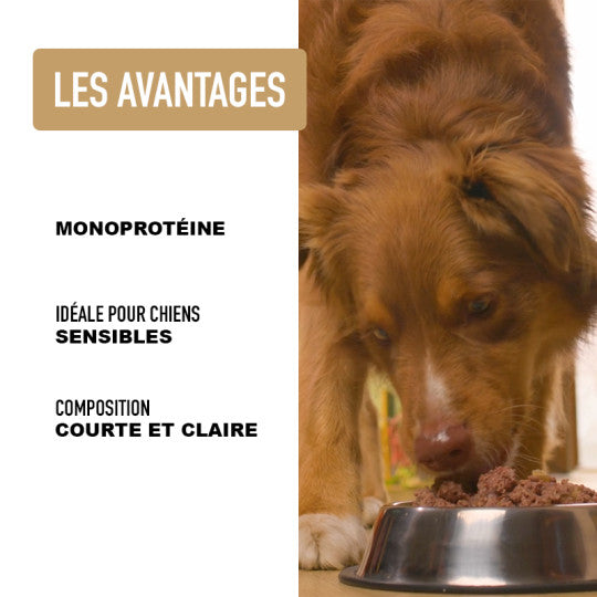 Pâtée pour chien au sanglier et au potiron – Recette monoprotéine-400g