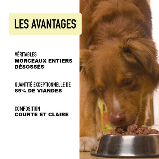 Ragoût pour chien au sanglier – 400g