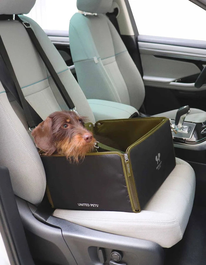 Siège de voiture pour chien Vert