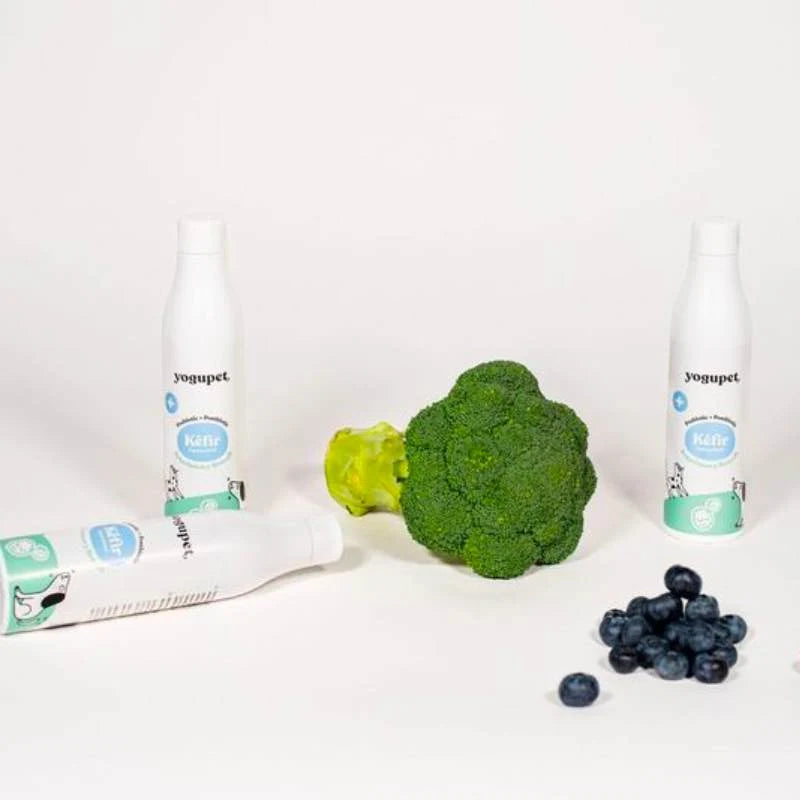 Kéfir Yogupet pour chiens et chats – Myrtilles et brocoli