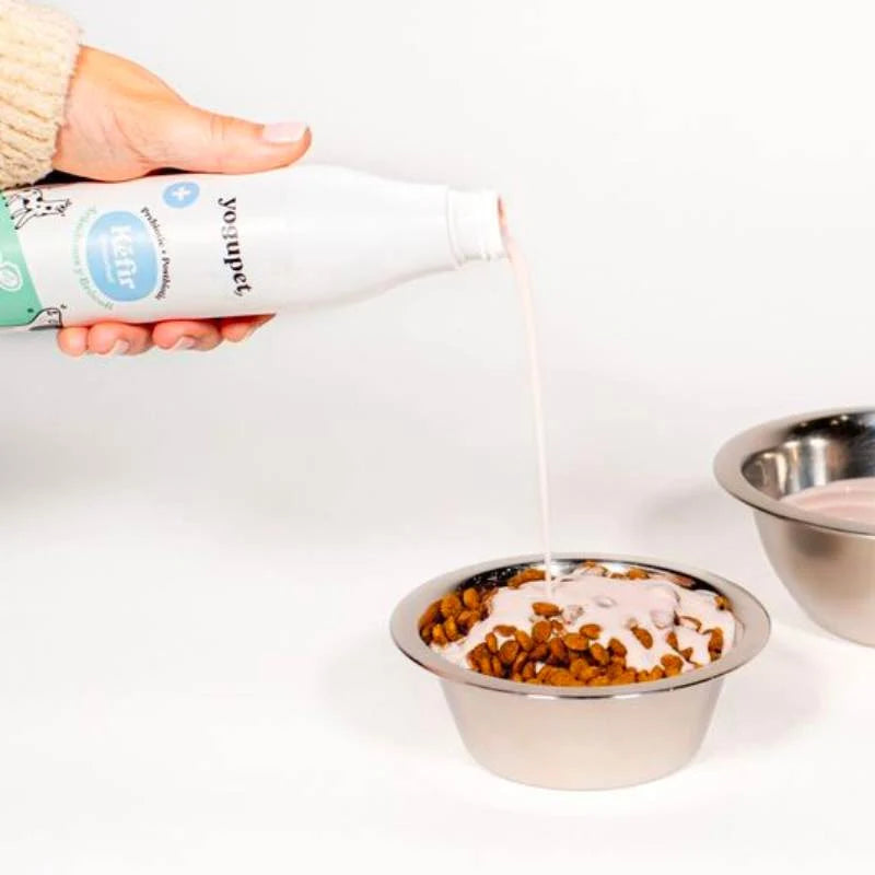 Kéfir Yogupet pour chiens et chats – Myrtilles et brocoli